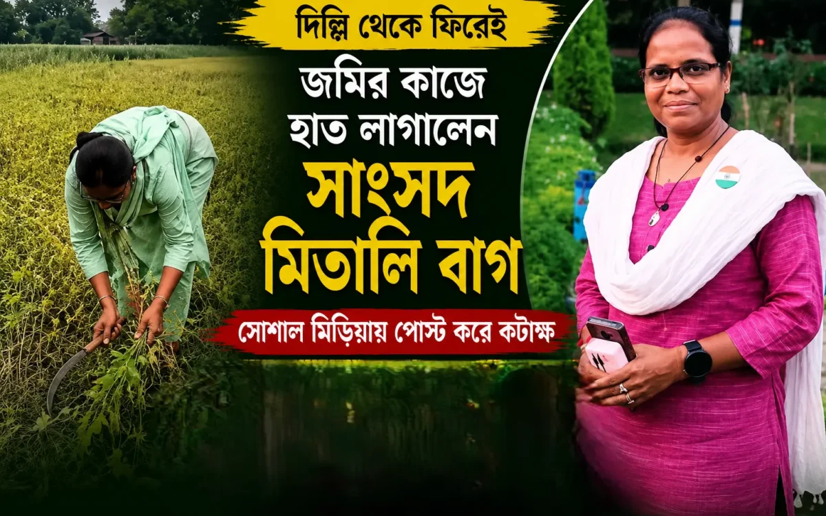 দিল্লি থেকে ফিরেই মাঠে কাস্তে হাতে মিতালি বাগ! ‘পার্লামেন্টে বসে নজর কাড়তে লিপস্টিক পরি না’ মন্তব্যে নতুন বিতর্ক