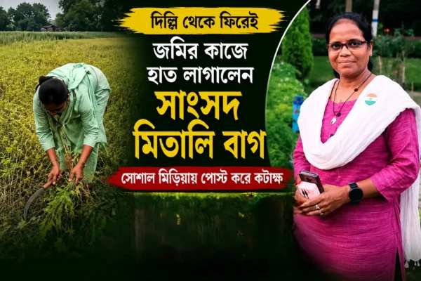 দিল্লি থেকে ফিরেই মাঠে কাস্তে হাতে মিতালি বাগ! ‘পার্লামেন্টে বসে নজর কাড়তে লিপস্টিক পরি না’ মন্তব্যে নতুন বিতর্ক